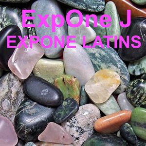 Expone Latins