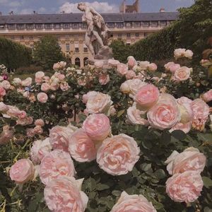 &ᵕ᷄≀ ̠˘᷅ 电子失恋 (Prod EVOMUSIC)