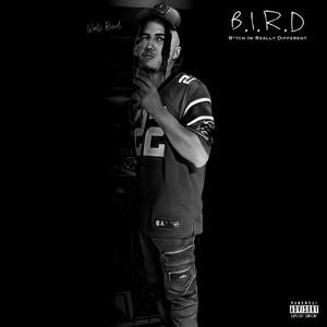 Perfection (Interlude)