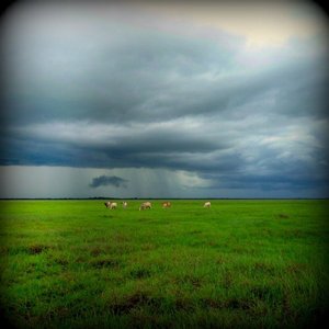 今、草を食んでいたばかりの牛を売るな