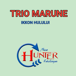 Ikkon Hulului