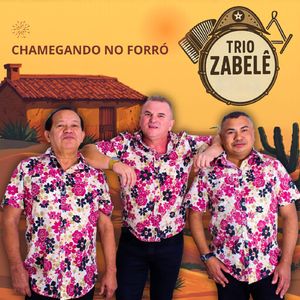 ANIMAÇÃO