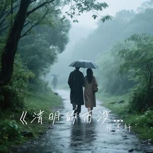 清明的雨没停