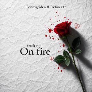 On Fire (feat.Definer_tz)