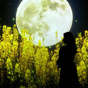 내가아는사랑 (Inst.)