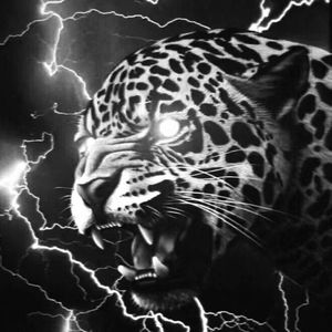 BlackPanther(Prod MoonVibe Beatz )