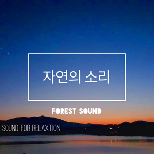 잠 못드는 밤에 (숙면을 위한 힐링 새소리)