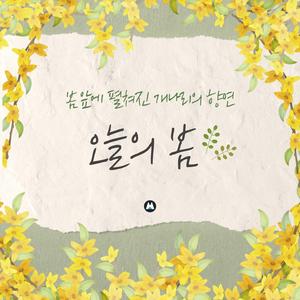 도시락 계란 후라이