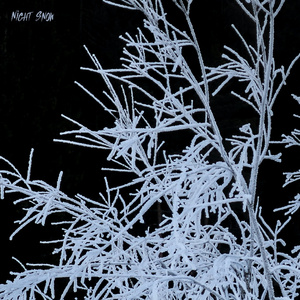 Night Snow