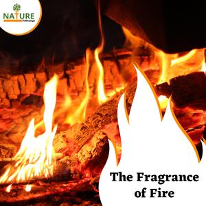 Provoking Fire Sizzle