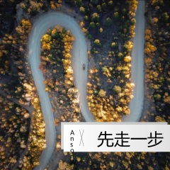 先走一步