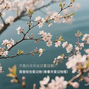 我曾经也爱过她 (阿默 Remix)