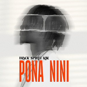 Pona nini