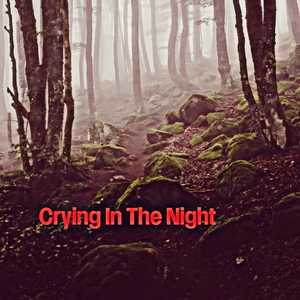Crying In The Night