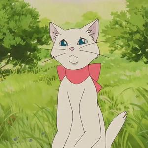 全世界的人都知道(翻唱)