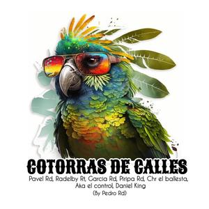 Cotorras De Calles (feat. Pavel Rd, Radelby Rt, García Rd, Piripa Rd, Aka el control & Daniel King)