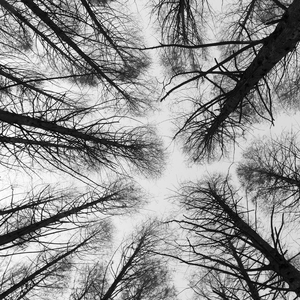 Hide and Seek (Single Version)