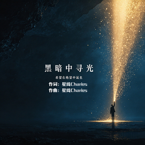 黑暗中寻光（新版）
