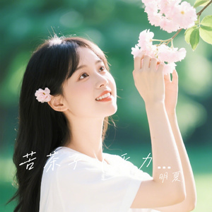 苦茶子（活力版）