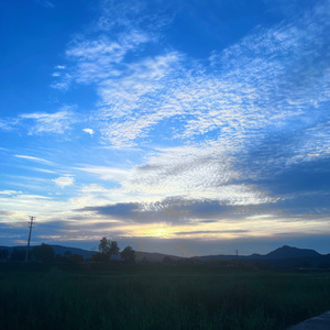 你告诉我什么叫长大