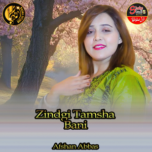 Zindgi Tamsha Bani (1)