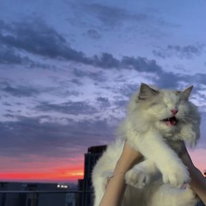 初遇魁北克（PROD BY ATTBEAT)