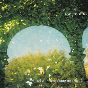 Nobody Tries That Hard Anymore