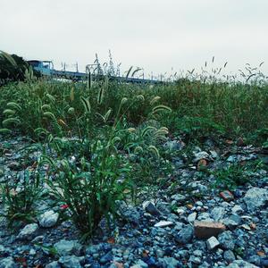 不要重复的悲剧