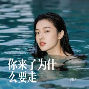 你来了为什么要走