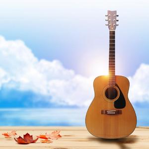 我不是你的宋冬野