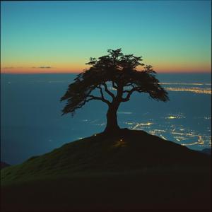 मौन का व्याख्याता