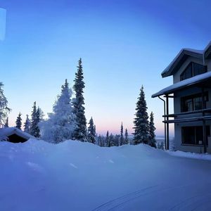 Bittersweet Chocolate (slowed)