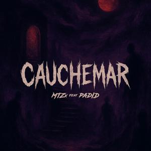 Cauchemar (feat. padID)