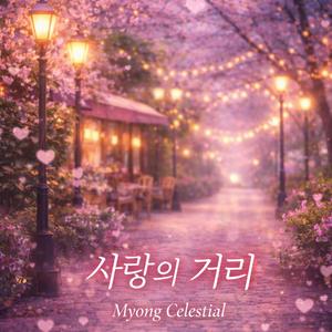 사랑의 거리
