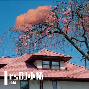 曹沁芳-美丽女人-rsDJ小杨-原乡鼓（小杨 remix）