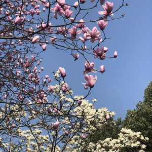 余香（合唱版）.mp3