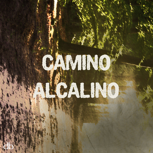 Camino Alcalino (Monococ Remix)