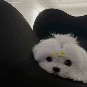 人不能将心比心