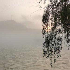烫倘疮构援