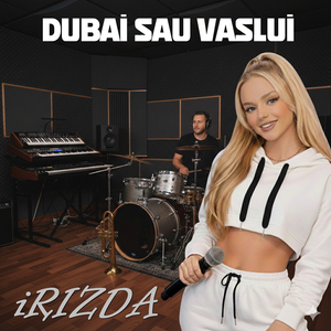 Dubai Sau Vaslui