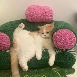 孤独的徘徊与衣围