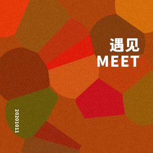 遇见 MEET