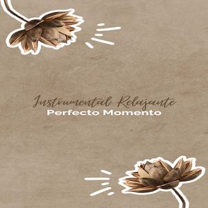 Es Calmante Y Energizante