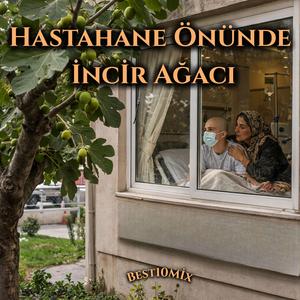 Hastahane Önünde İncir Ağacı