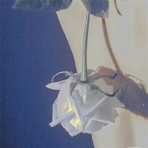 猫咪呼噜声催眠曲asmr (白噪音)