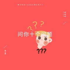 问你十个问题(0.8×)