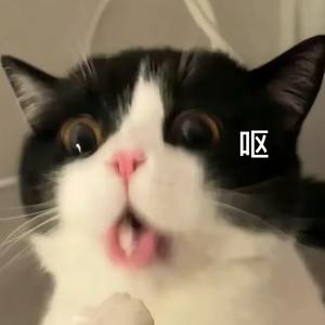 you are beautiful（呕吐版）