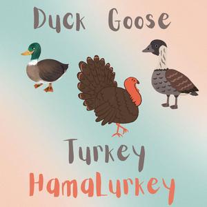 Duck Goose Turkey HamaLurkey