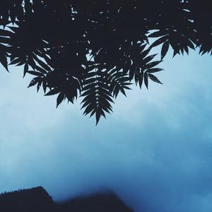 关于夏天的第二十七个原因