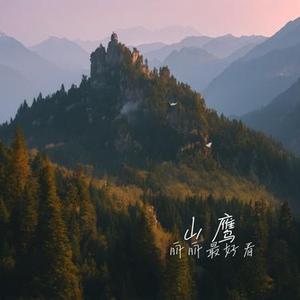 山鹰 (Cover 菜园子不CAi & 妞妞合唱团)